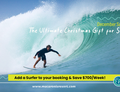 Christmas Gift – Add 1 Surfer Staying at Non-Surfer Rate!